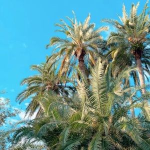 Meet your Posher, Tanner